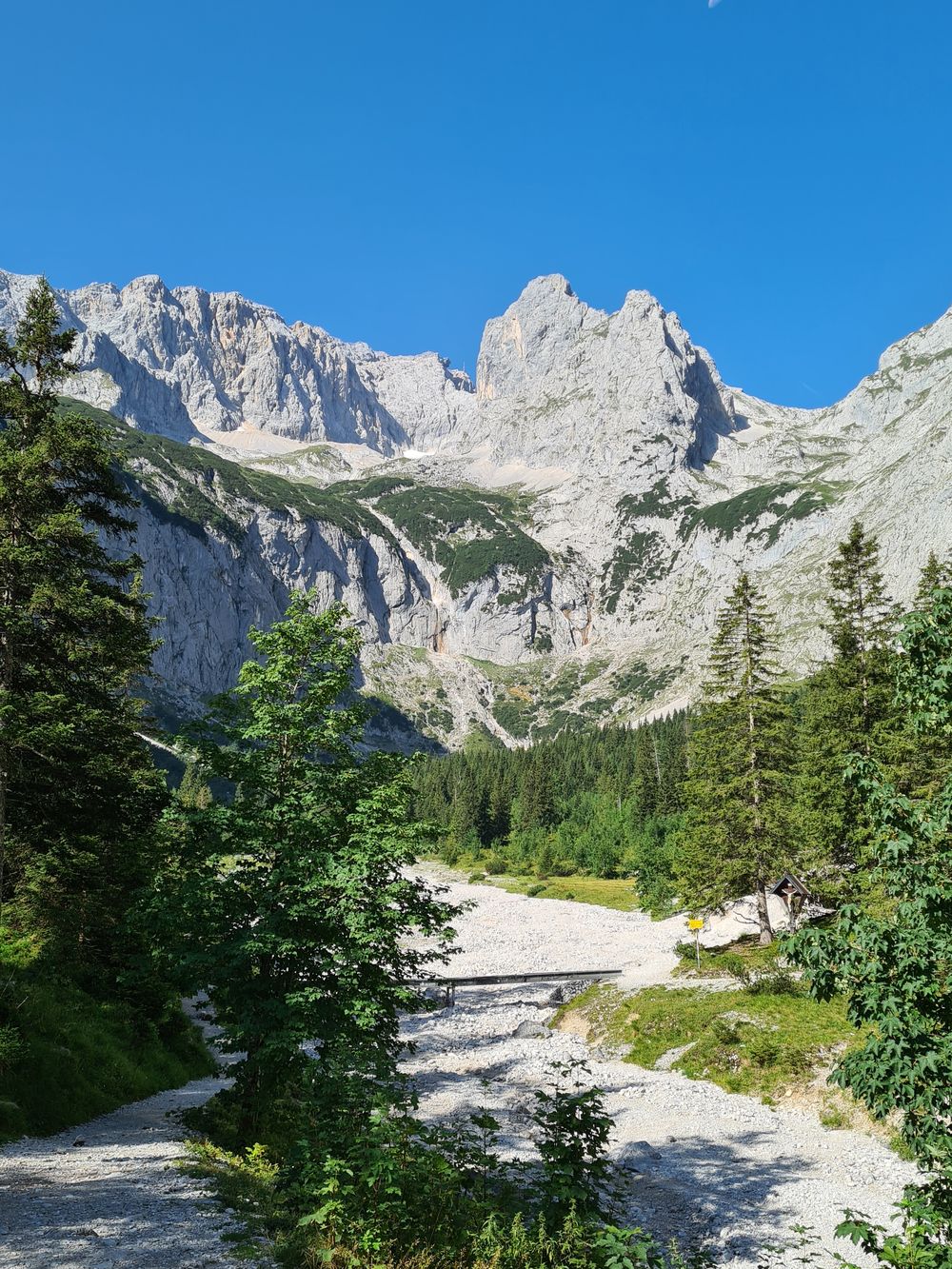 Steiniger Bergweg durch Latschen und Wald im Wetterstein
